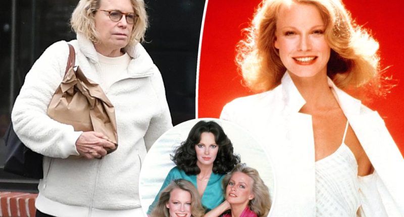 Former ‘Charlie’s Angels’ star Shelley Hack, 77, goes makeup-free in rare public outing
