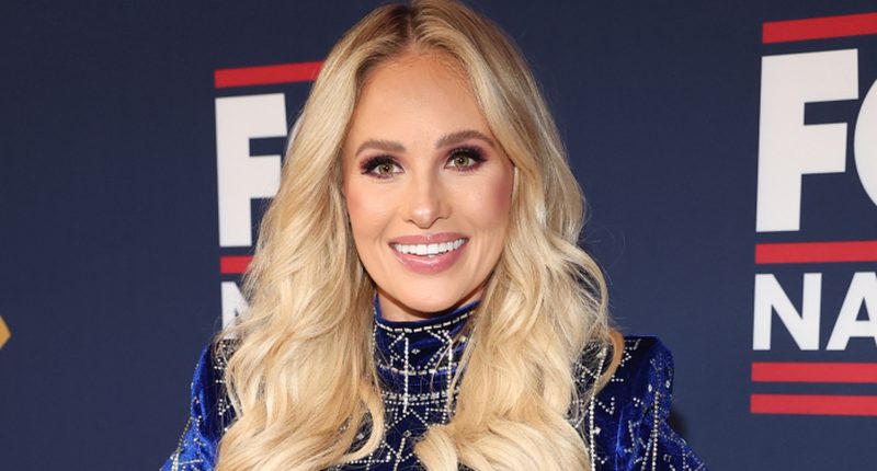 Fox News' Tomi Lahren Dragged Her Own Husband