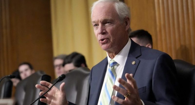 GOP senator on Trump tariffs: 'What’s the endgame here?'