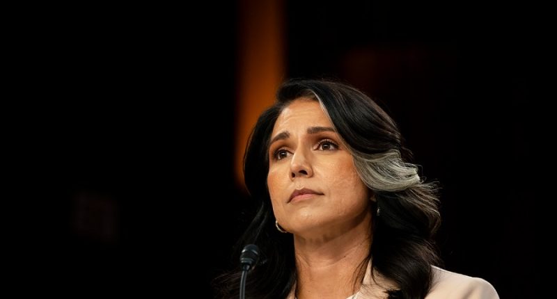 Georgia man arrested over alleged threats to kill Tulsi Gabbard