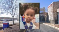 Girl, 2, died in hospital after ant bites allergic reaction