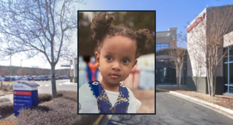 Girl, 2, died in hospital after ant bites allergic reaction