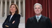 Gorsuch snaps at SCOTUS lawyer in student disability case