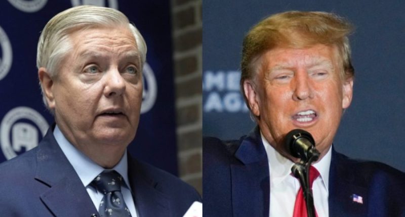 Graham jokingly asks conclave to 'keep an open mind' about Pope Trump