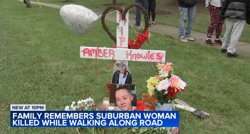 Gurnee pedestrian killed: Vigil held for Amber Knowles, woman fatally struck by truck in Gurnee on Delany Road