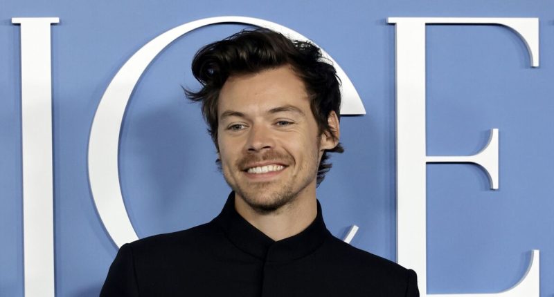 Harry Styles finally gets go ahead to build £30m mansion - but there's a catch