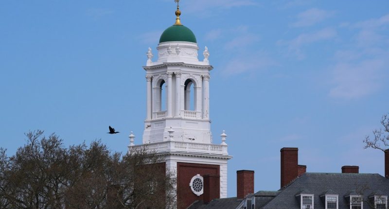 Harvard takes lead in fight against Trump's higher ed agenda