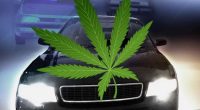 Has Florida law changed when it comes to smoking marijuana in your car?