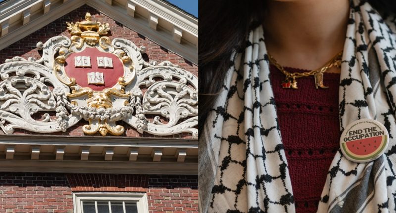 Havard students and faculty face the fallout from a showdown with Trump