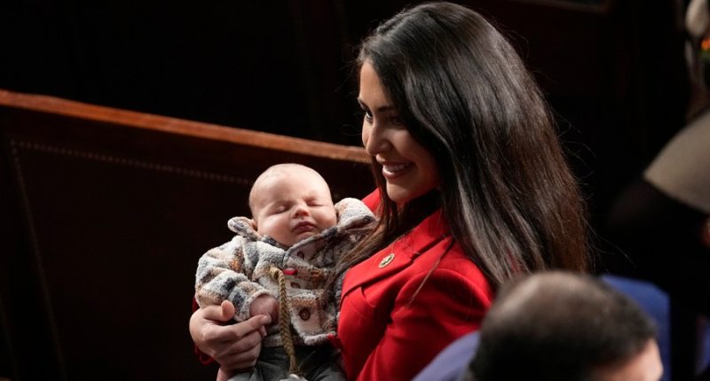 House GOP leaders play hardball to stop Luna push for proxy voting for new parents