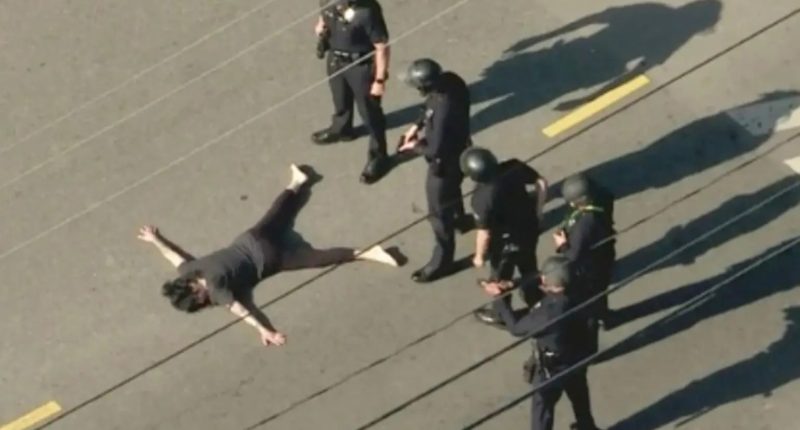 How Jillian Lauren went from Prince of Brunei’s harem to rock star wife – before being shot by cops in her own garden