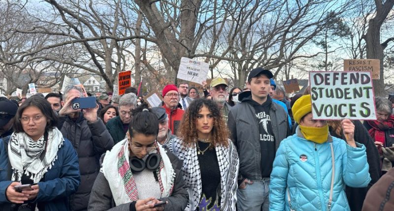 Hundreds of students, dozens of colleges hit by Trump's visa purge: What to know