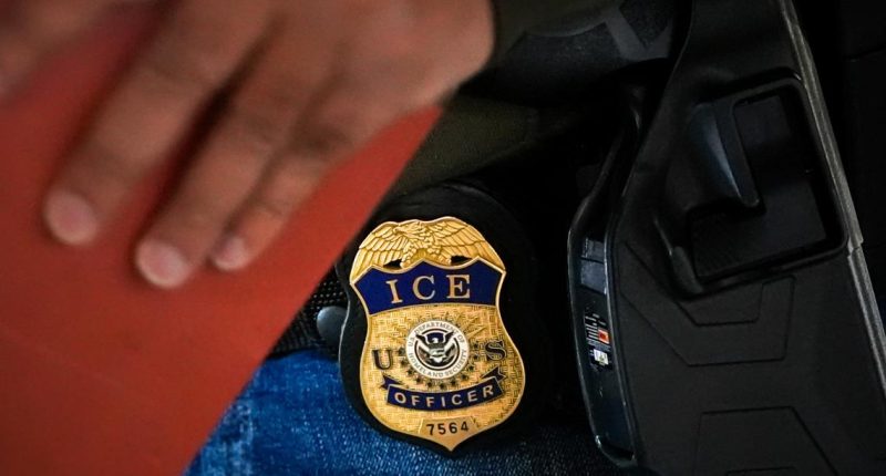 ICE deports US citizen as advocates say they're not following due process