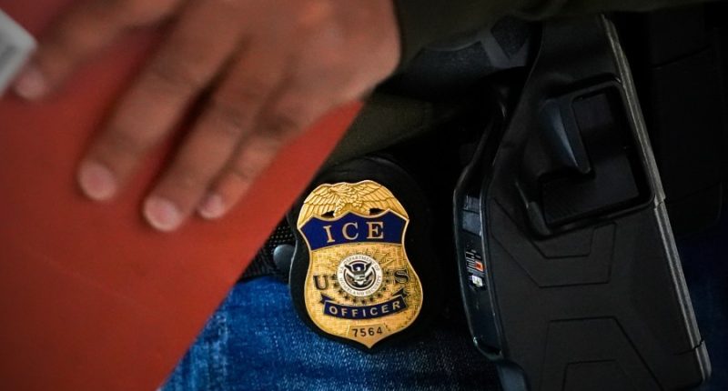 ICE deports immigrant mother of an infant and 3 children who are US citizens, lawyers say