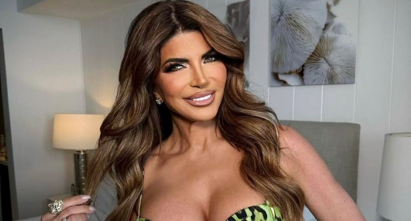 IRS Director Shares How Investigation Into Teresa Giudice Started