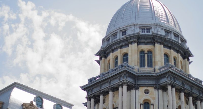 Illinois bill ending licensure requirements for braiders passes House
