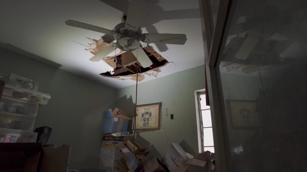 Insurance denies mold claim after tree falls through roof in hurricane