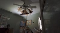 Insurance denies mold claim after tree falls through roof in hurricane