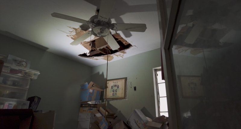 Insurance denies mold claim after tree falls through roof in hurricane