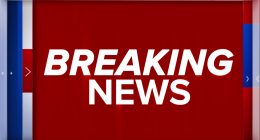 Israel's war in Gaza: 4 Palestinian children in need of medical care arrive at O'Hare Airport in Chicago