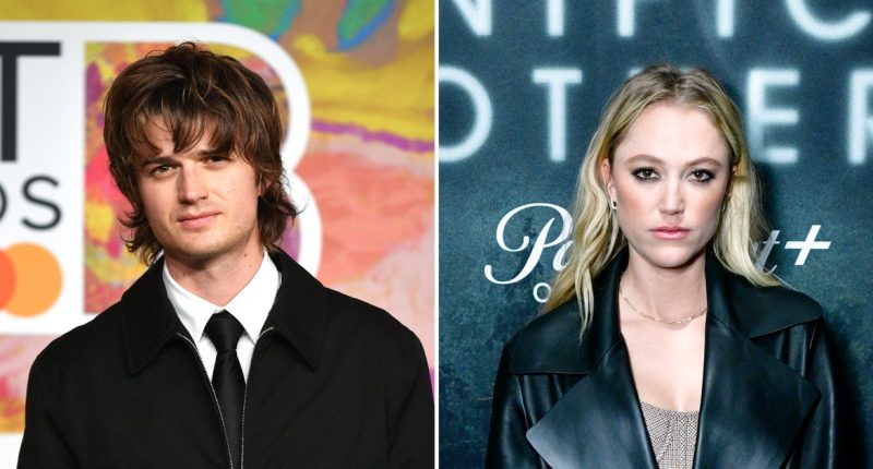 Joe Keery Hints 'Stranger Things' Cast Helped Him in Maika Monroe Breakup