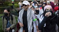 Judge orders release of Palestinian protester arrested at citizenship interview