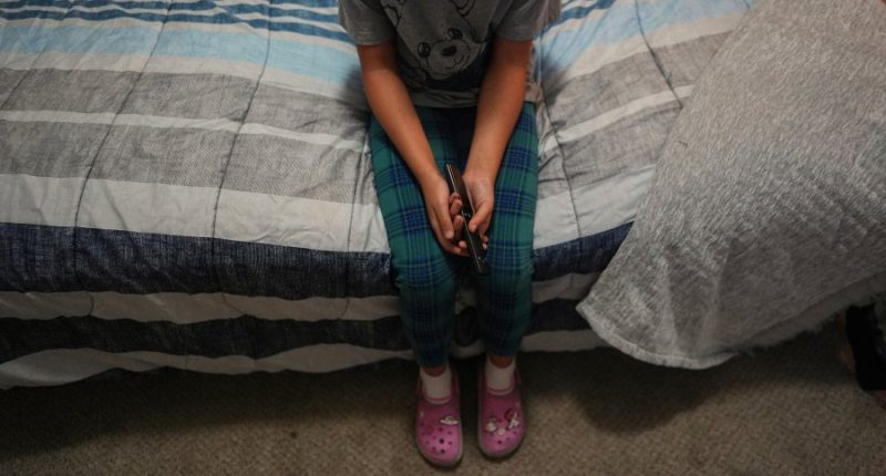 Judge will halt Trump administration from ending humanitarian parole for people from four countries