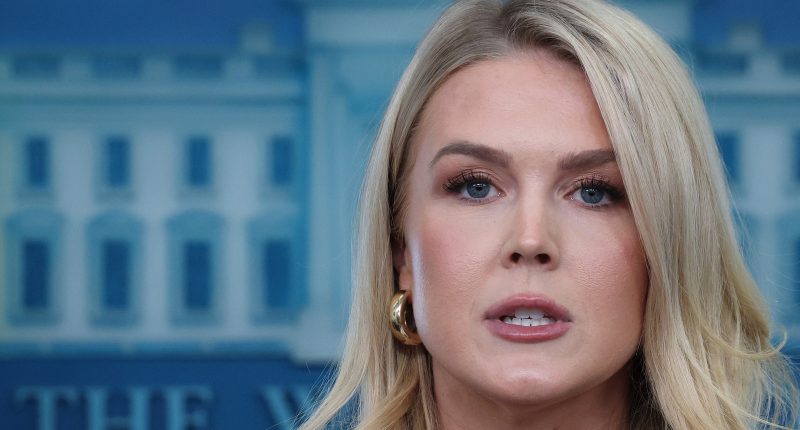Karoline Leavitt's 'Mar-A-Lago Face' Transformation Ignites A Fiery Internet War