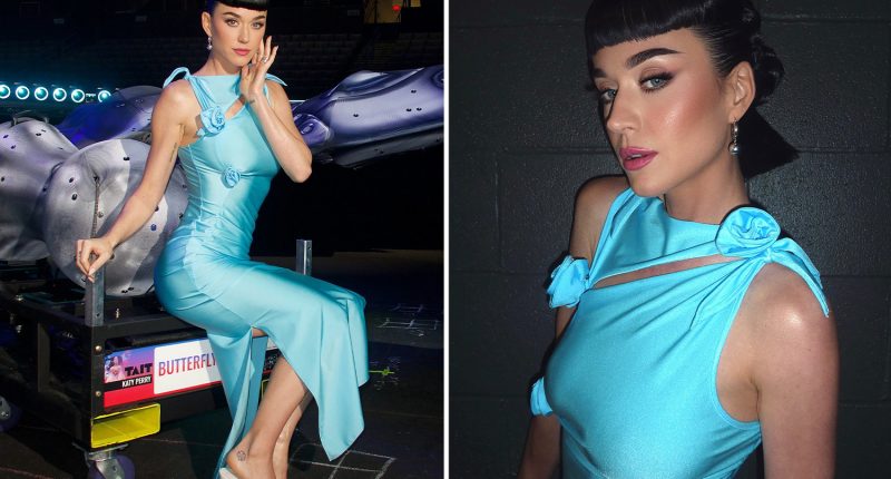 Katy Perry stuns as she poses in skin-tight blue dress after space trip