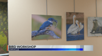 Kennekuk County Park calling for educators to come learn about birds