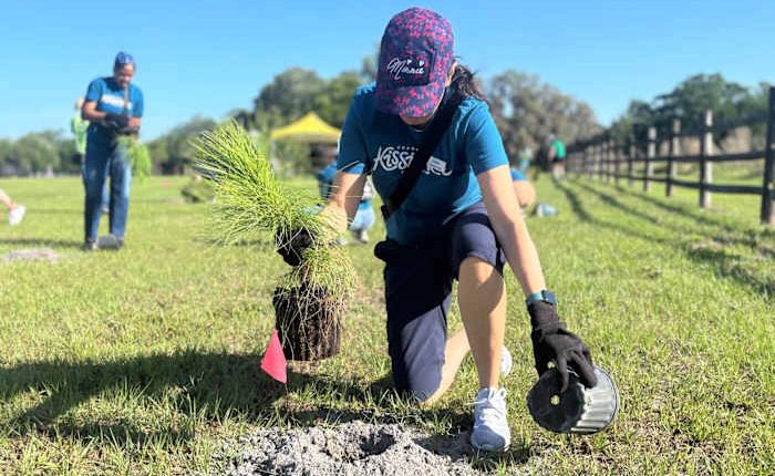 Kissimmee, Osceola County use tree planting to balance growth, environmental impact