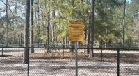 Lack of fencing along dog parks water edge causes concern during gator season