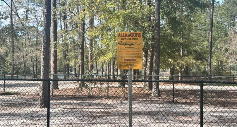 Lack of fencing along dog parks water edge causes concern during gator season