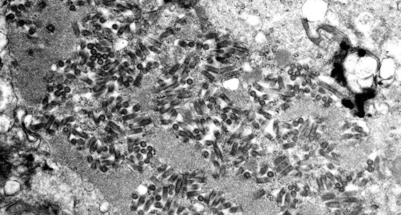 Liberty County Health Department issues rabies alert