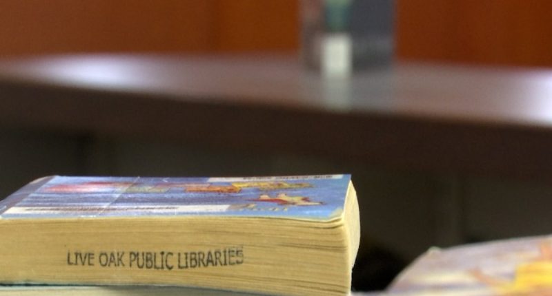 Live Oak Libraries 'shaping their story' as GA's first book sanctuary library