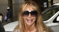 Lizzie Cundy puts on a leggy display in a sheer floor-length gown