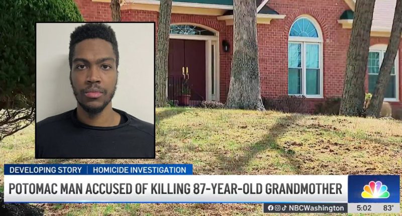 Man allegedly stabbed grandmother after 'lying in wait'