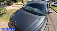 Audi with bullet holes