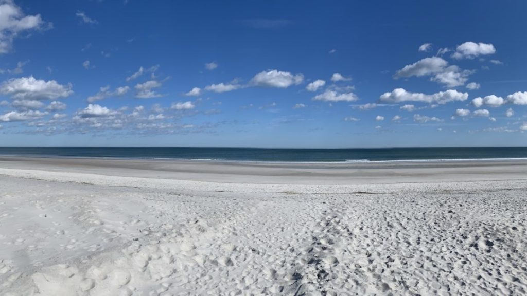 Man dies after being pulled from water at Hanna Park, police say