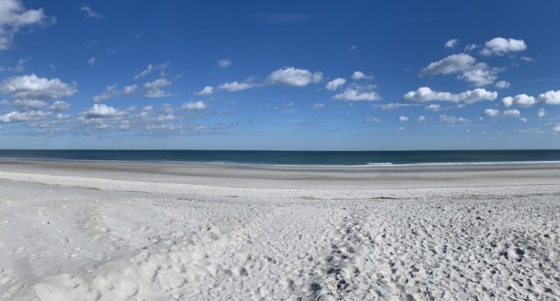 Man dies after being pulled from water at Hanna Park, police say