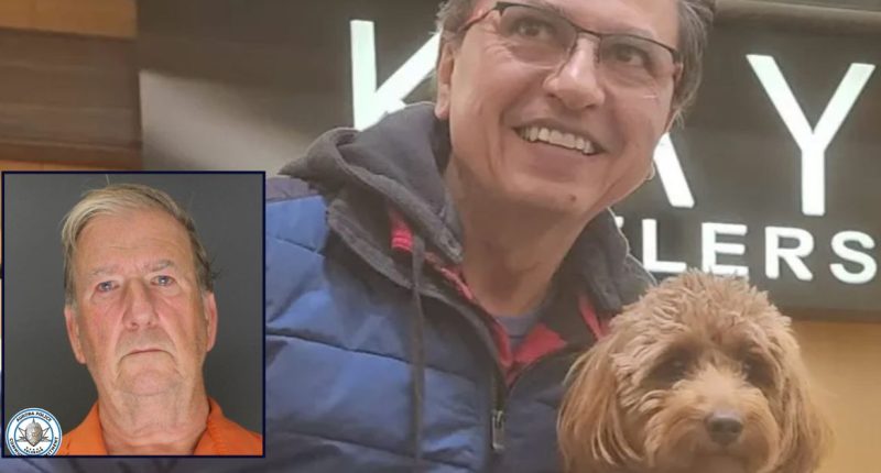 Man in 'dream state' killed pedestrian in hit-and-run: Cops