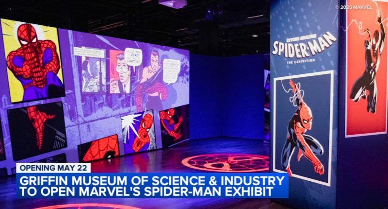 Marvel's Spider-Man exhibit swings into Griffin Museum of Science and Industry