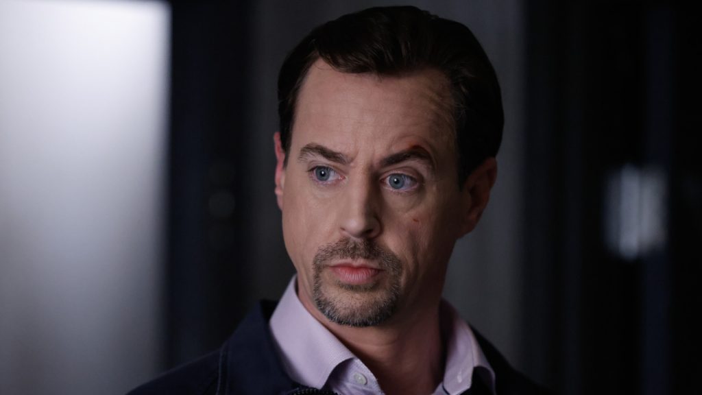 McGee's Episode 19 Gibbs Dream Explained