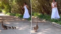 Meghan Markle caught off guard by unexpected visitors near $14M Montecito mansion