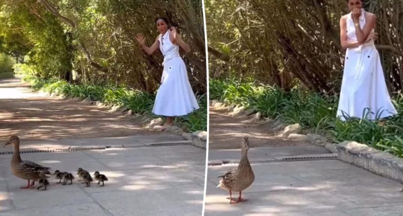 Meghan Markle caught off guard by unexpected visitors near $14M Montecito mansion