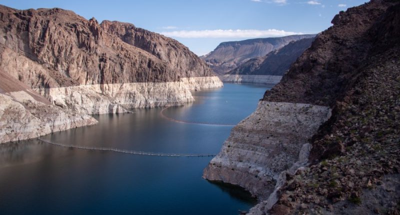 Missing veterinarian's body found in Nevada's Lake Mead