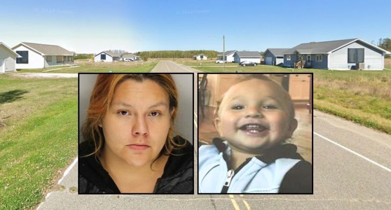 Mom killed son by slamming his head into wall, blamed car
