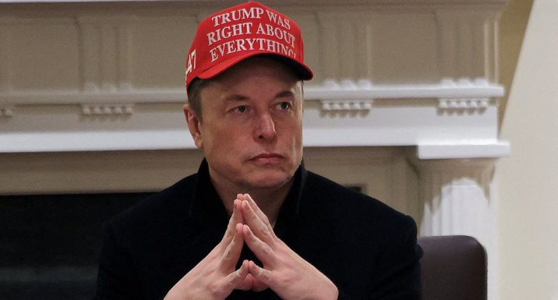 Musk and his DOGE nerds plan to turn government into an Apple store