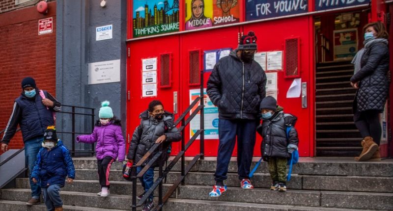 NY public schools tell Trump administration they won't comply with DEI order