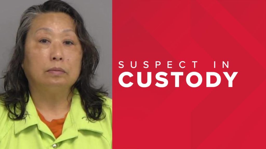 Nassau County woman arrested for attempted murder